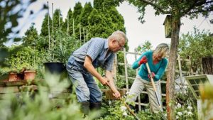 elderly couple working outside in the garden